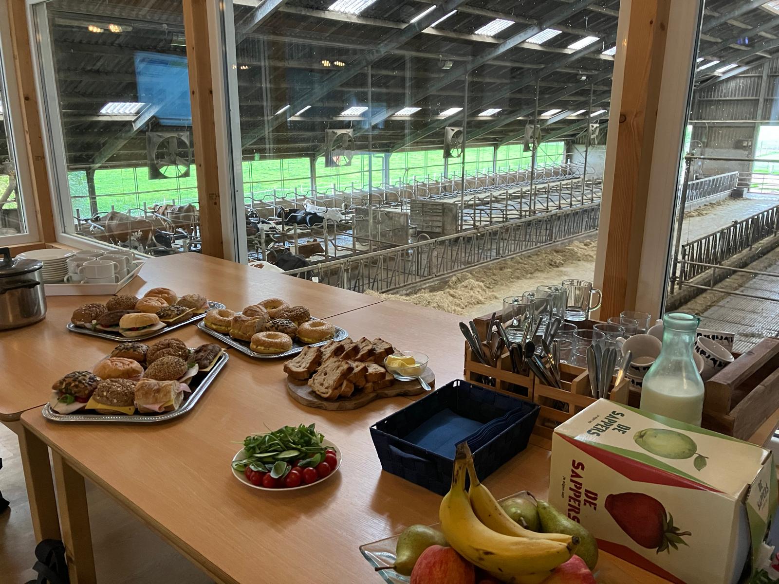 De lunch staat klaar in de vergaderruimte, met door het raam uitzicht op de koeien in de stal