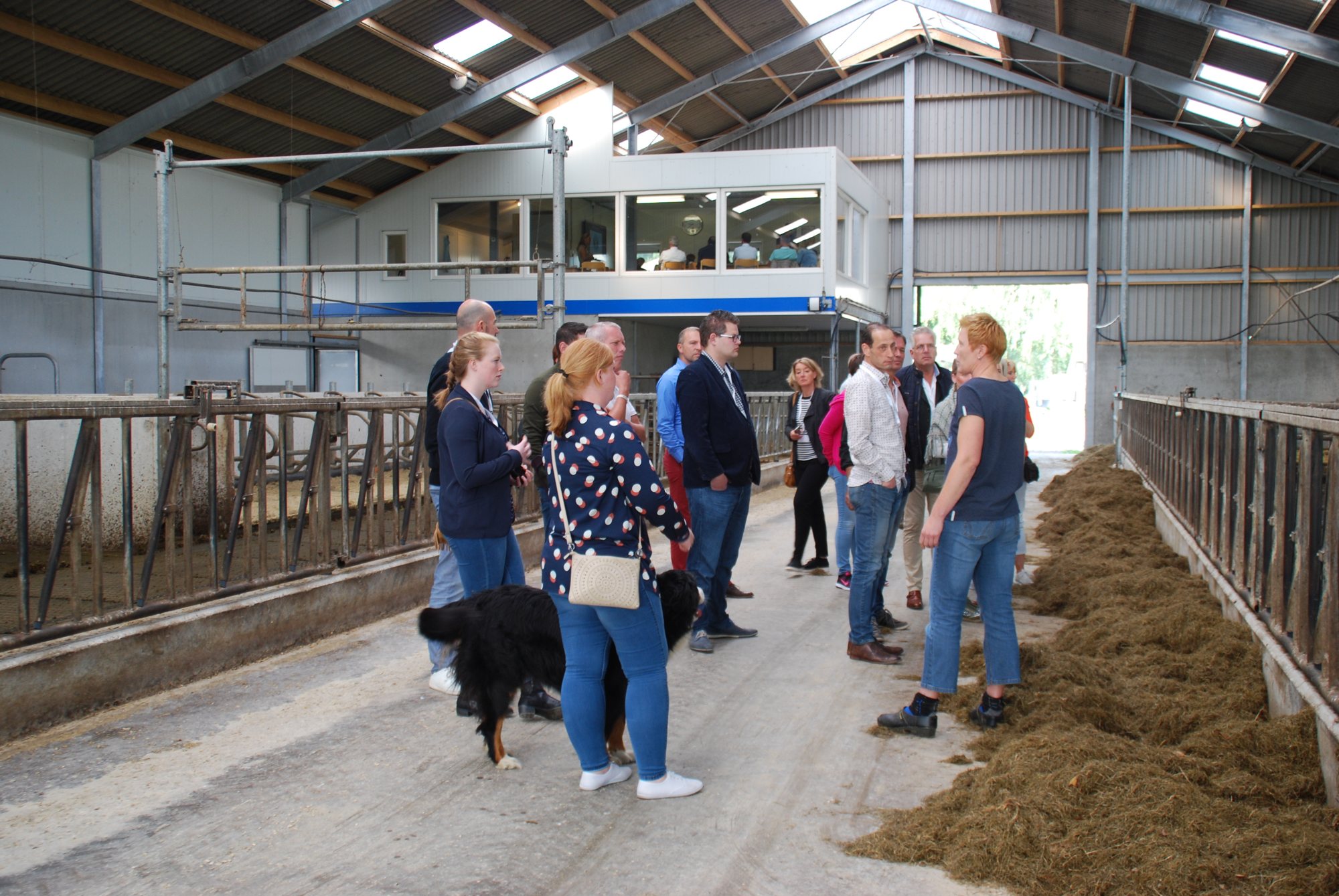 Een groep bezoekers krijgt uitleg in de stal