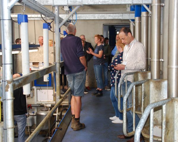 Bezoek in de melkstal
