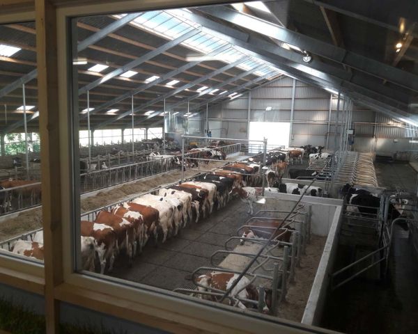Uitzicht vanuit de vergaderruimte op de stal