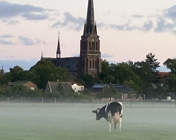 Ochtendmist bij Westbeemster